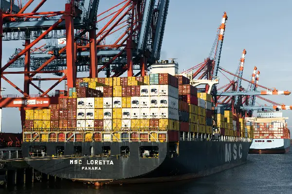 Export & Import